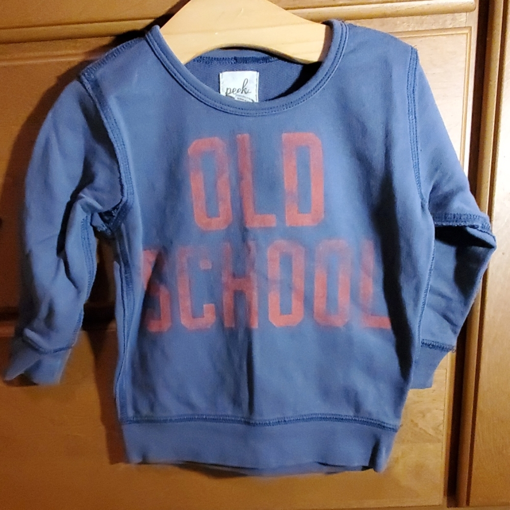 Peek kids 18-24 months graphic sweatshirt